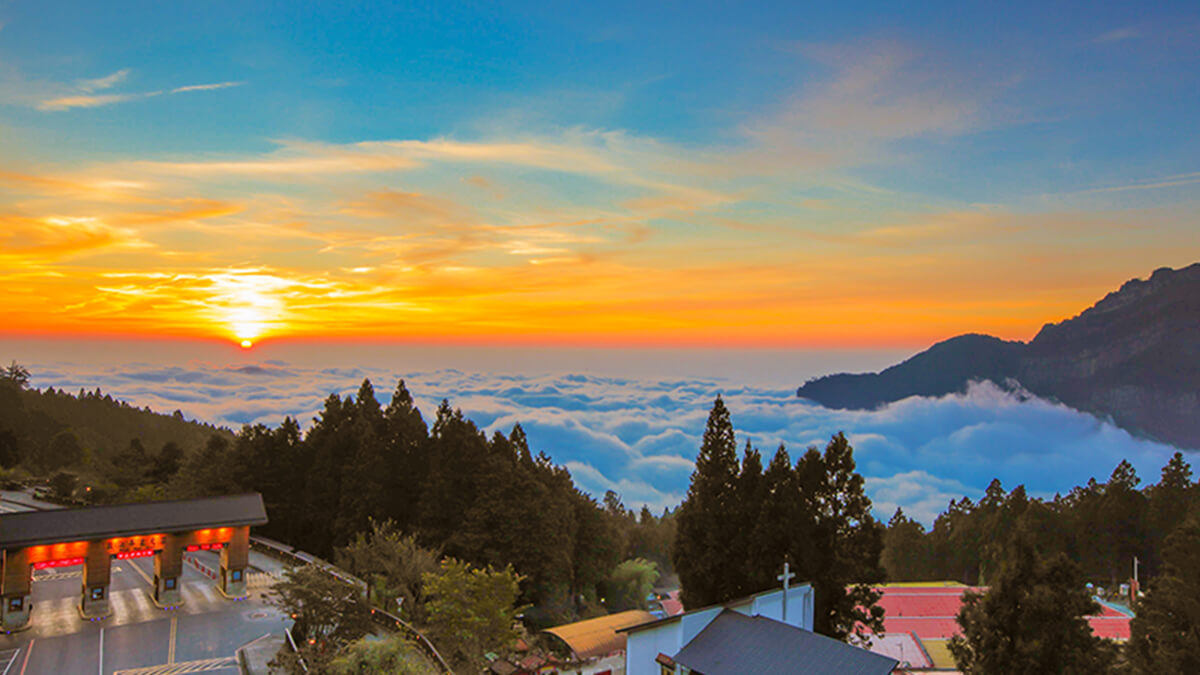 Ngày 2 - Ngắm bình trên núi Alishan 看日出阿里山