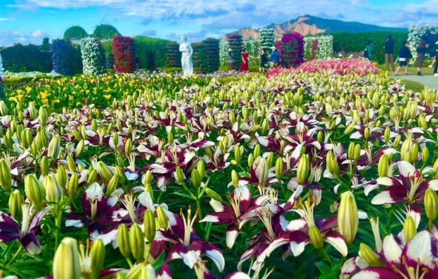 [ Du lịch nội địa Đài Loan] Vườn hoa lớn nhất Đài Loan và Miếu Thổ Địa Zhushan